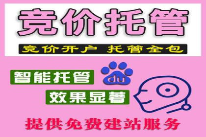 百度推广成功案例分析